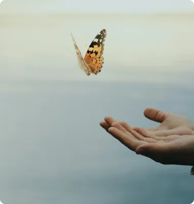 Mano  humana junto a una mariposa volando.